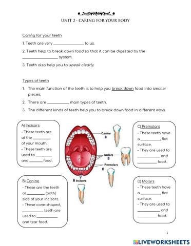 Caring for your teeth