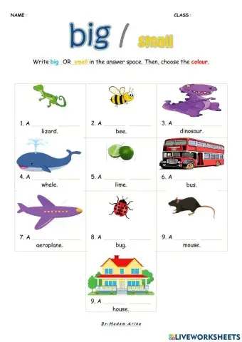 Super Minds Unit 2 : Adjectives (BIG small 2)