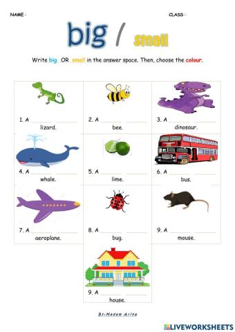 Super Minds Unit 2 : Adjectives (BIG small 2)
