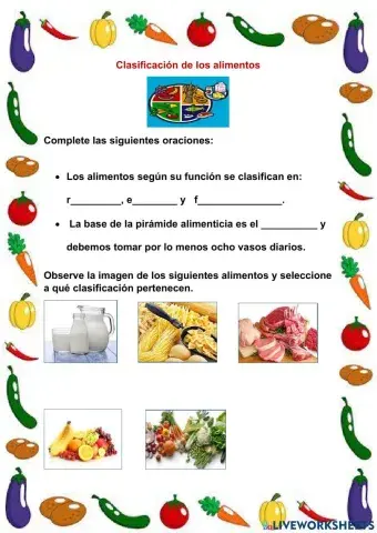 Clasificación de los alimentos