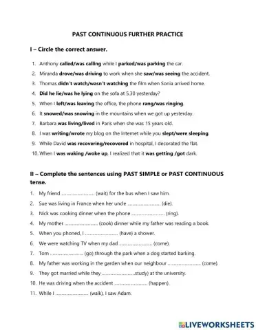 Grade 5 Past Continuous vs Past Simple Further Practice