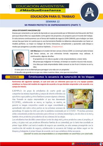 Mi primer proyecto de emprendimiento PARTE VII