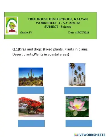 Adaptation in plants