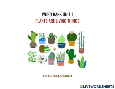 Word bank unit 1 plants are living things - unit 1.4plants need water and right temperature
