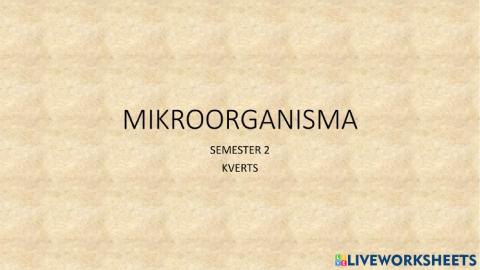 Mikroorganisma