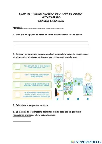 Ficha de trabajo Capa de ozono