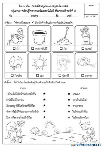 ปัจจัยที่จำเป็นต่อการดำรงชีวิตของพืช ป.2