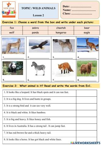 Wild animals Lesson 2