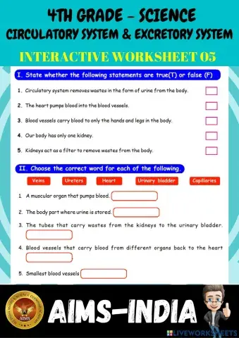 4th-science-ps05-circulatory system & excretory system