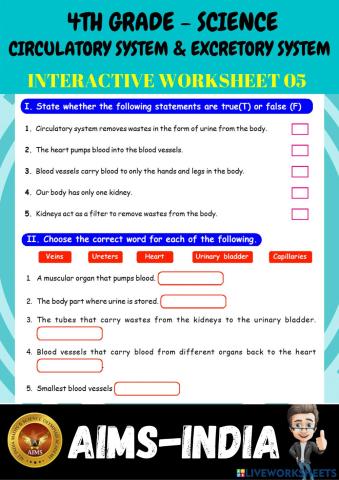 4th-science-ps05-circulatory system & excretory system