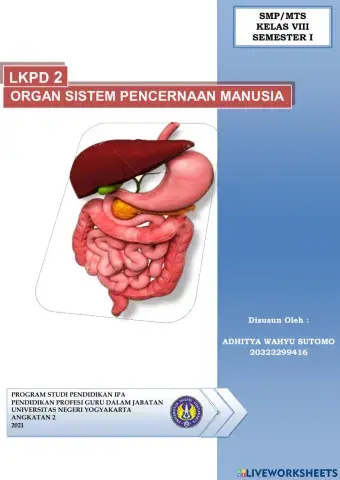 Sistem Pencernaan manusia