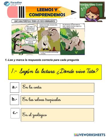 Comprensión lector: el oso hormiguero