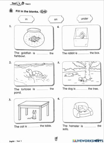 Unit 3: Pet Show