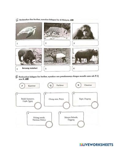 Bab5 (F3) - Hidupan Liar di Malaysia m-s 39