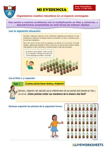 Organizamos nuestros maceteros en un espacio rectangular