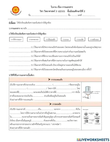 วิทยาศาสตร์