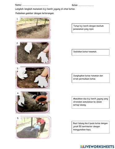 Mari Belajar Menyemai Biji Benih