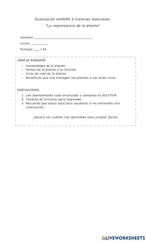 Evaluación -La importancia de las plantas-