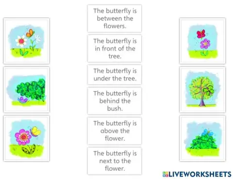 Prepositions of Place