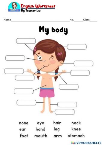 My body