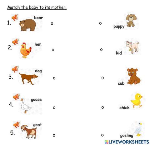 Animals and Their Babies