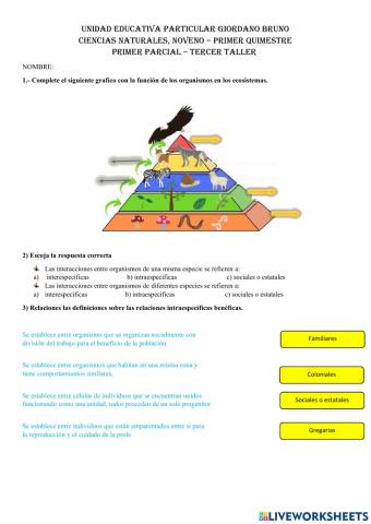 Función de los organismos