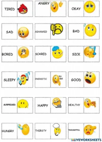 Answer the emotion cards correctly