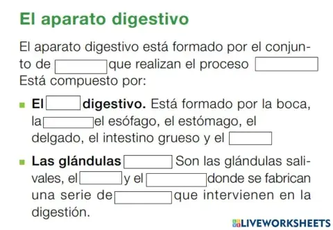 El aparato digestivo