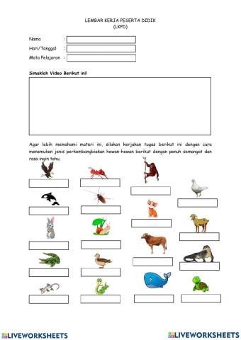 Neneng nuraeni materi ajar kelas vi sd