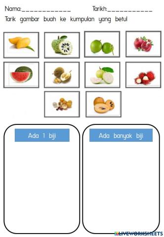 Buah-buahan Prasekolah