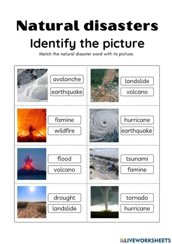 Natural disasters