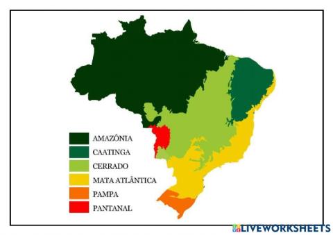 Biomas brasileiro