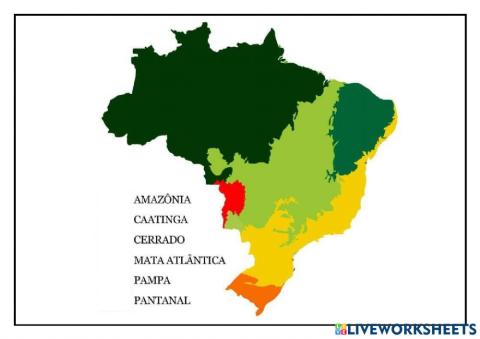 Biomas brasileiro