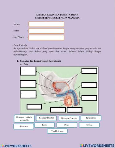 LKPD Reproduksi