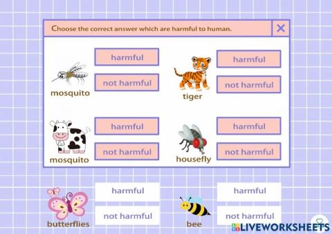 Lesson 14: Harmful Animal