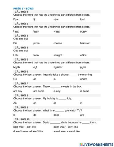 Phiếu 5 - EOW3