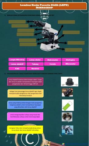 Lkpd mikroskop