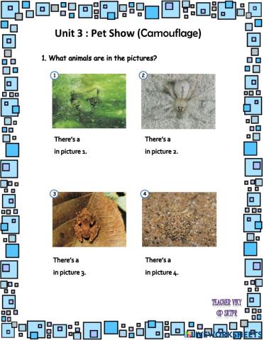 Unit 3 Pet Show (Camouflage) 2