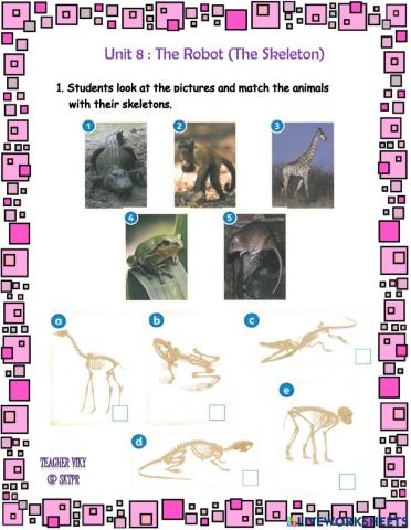 Unit 8 : The Robot (Skeleton)(Animals)