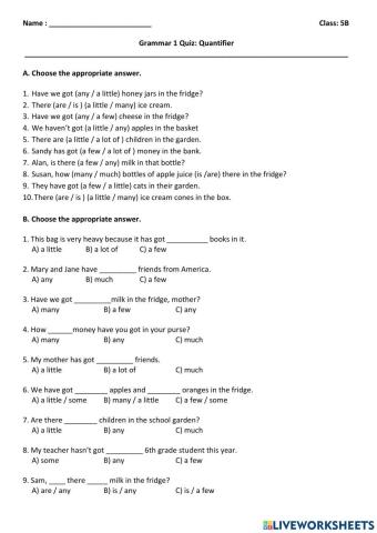 IE 5B Grammar 1 Quiz - Quantifier