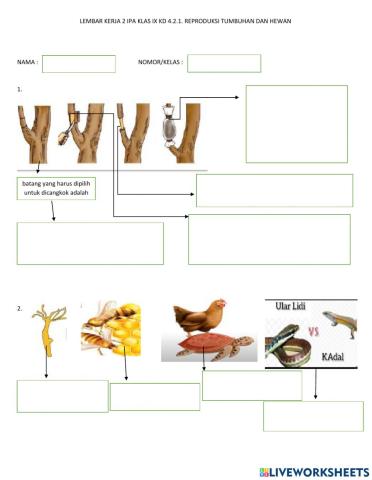 Sistem Reproduksi Tumbuhan dan Hewan