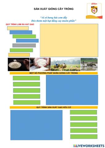 Bài 2.cn 10. sản xuất giống cây trồng