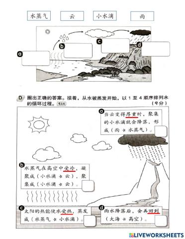 二年级科学单元九 水的循环