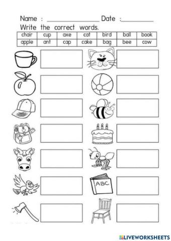 Write words based on pictures