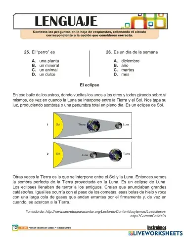 Prueba de comprencion lectora