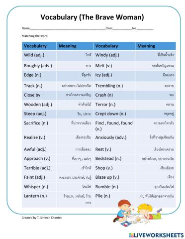 Vocabulary (The Brave Woman)