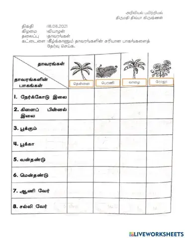 தாவரங்களின் பாகங்கள்