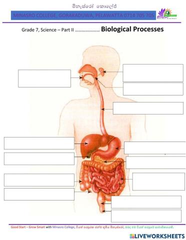Science for Grade 7 - Minasro College