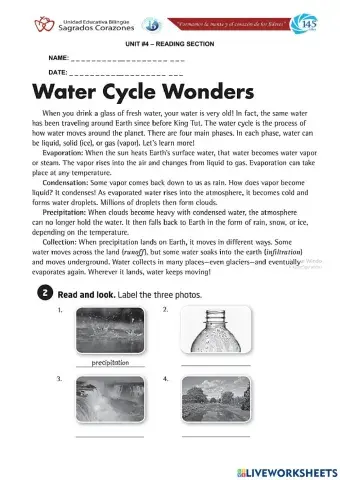 Water Cycle Wonders