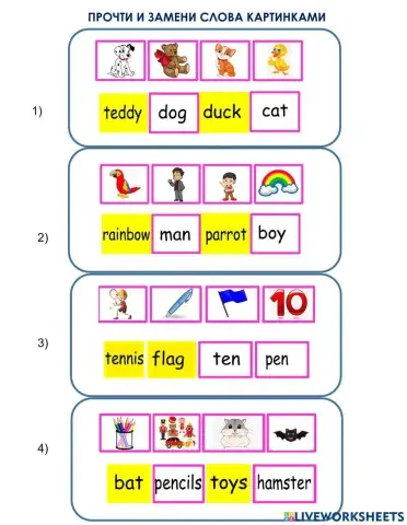 Match the word to picture